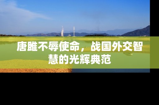 唐雎不辱使命，战国外交智慧的光辉典范