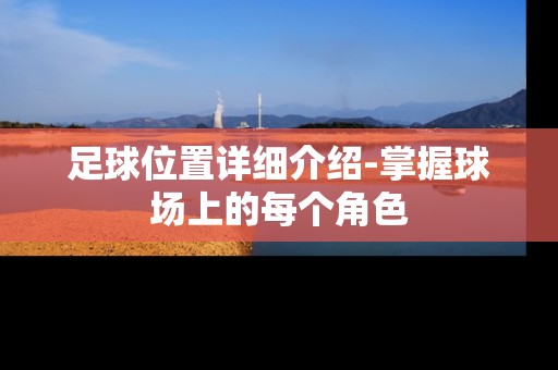 足球位置详细介绍-掌握球场上的每个角色