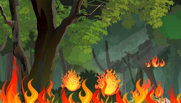 2024年7月3日森林火险气象预报：山西内蒙古的部分地区森林火险气象等级较高