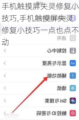 手机触摸屏失灵修复小技巧,手机触摸屏失灵修复小技巧一点也点不动