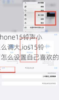 iphone15***小怎么调大,ios15***怎么设置自己喜欢的音乐