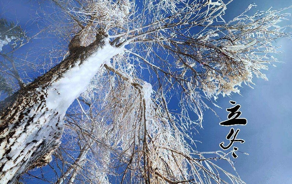 过了立冬就是本命年吗1