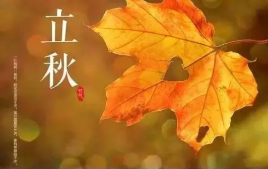 立秋后的蚊子会更厉害吗3