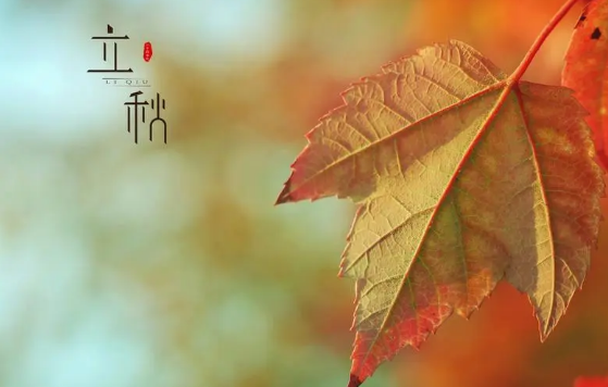 立秋打雷好不好2