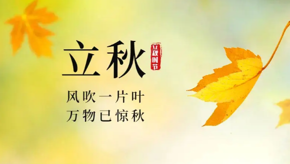 立秋之后有一伏还是三伏之后有一伏2