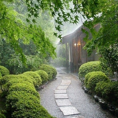秋老虎下雨是不是就凉快了3