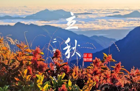 2023年立秋是中伏第几天1