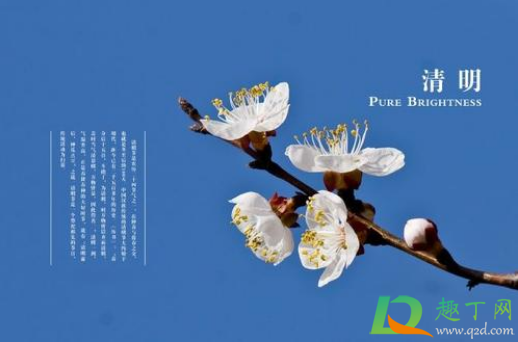 2021年清明节几号迁坟好1