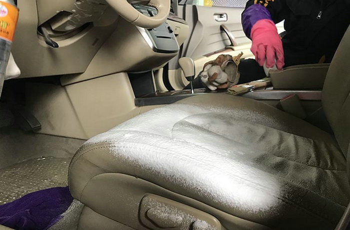 汽车内饰脏了用什么清洗(车子内饰脏了)