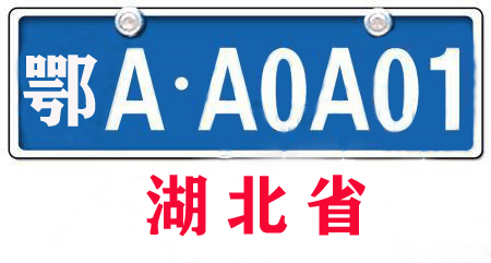 湖北车牌号城市代号是怎么排的(湖北车牌号城市代号)