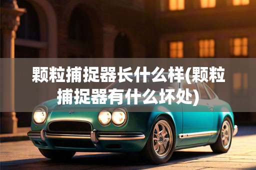 颗粒捕捉器长什么样(颗粒捕捉器有什么坏处) 颗粒捕捉器长什么样(颗粒捕捉器有什么坏处)