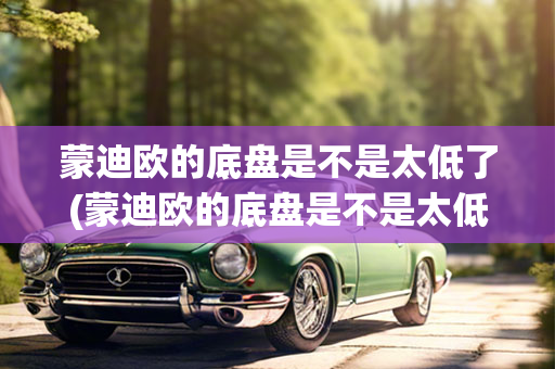 蒙迪欧的底盘是不是太低了(蒙迪欧的底盘是不是太低了)