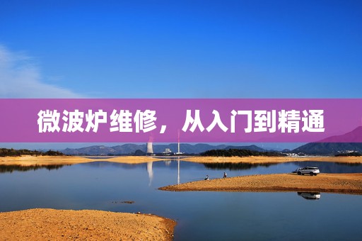微波炉维修，从入门到精通