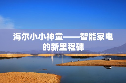 海尔小小神童——智能家电的新里程碑