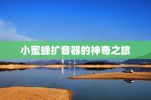 小蜜蜂扩音器的神奇之旅