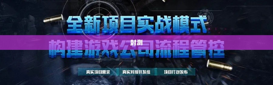 揭秘封测，游戏成功背后的关键力量封测是啥意思