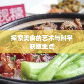 烹饪配方，探索美食的艺术与科学烹饪配方大全获取地点