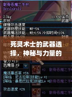 死灵术士的武器选择，神秘与力量的完美结合死灵术士用什么武器好