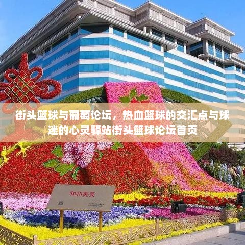 街头篮球与葡萄论坛，热血篮球的交汇点与球迷的心灵驿站街头篮球论坛首页