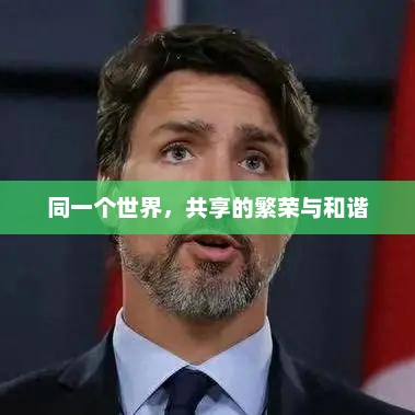 同一个世界，共享的繁荣与和谐