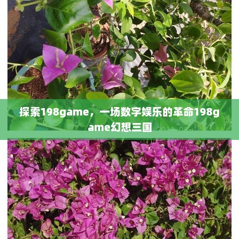 探索198game，一场数字娱乐的革命198game幻想三国