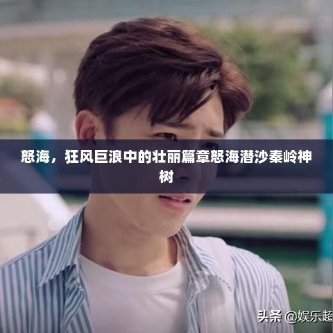 怒海，狂风巨浪中的壮丽篇章怒海潜沙秦岭神树