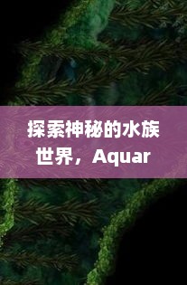 探索神秘的水族世界，Aquaria的魅力aquaria什么意思