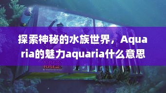 探索神秘的水族世界，Aquaria的魅力aquaria什么意思