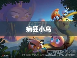 疯狂小鸟的世界，勇气、友谊与冒险的奇妙旅程疯狂小鸟猪头