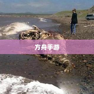 方舟手游，生存与探索的奇幻之旅方舟手游重制版