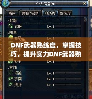 DNF武器熟练度，掌握技巧，提升实力DNF武器熟练度