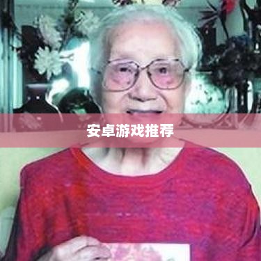 推荐安卓游戏，精选游戏带你畅游数字世界推荐安卓游戏特工17
