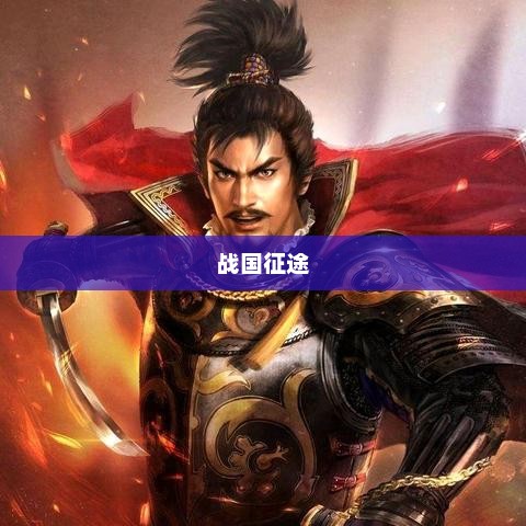 战国征途，英雄崛起与乱世纷争战国征途 木林森444