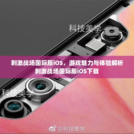 刺激战场国际服iOS，游戏魅力与体验解析刺激战场国际服iOS下载