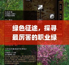绿色征途，探寻最厉害的职业绿色征途啥职业好