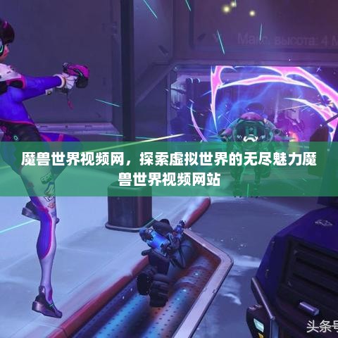魔兽世界视频网，探索虚拟世界的无尽魅力魔兽世界视频网站