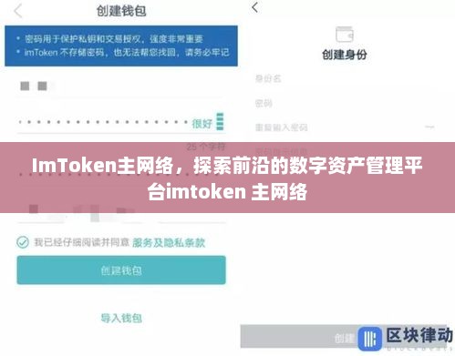 imtoken主网络，探索前沿的数字资产管理平台imtoken 主网络