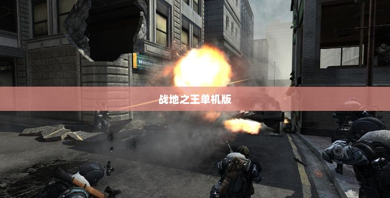 战地之王单机版下载，深入游戏世界的独特体验战地之王单机版下载安装