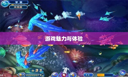 扑鱼达人单机版，游戏魅力与体验探索捕鱼达人单机版2.0