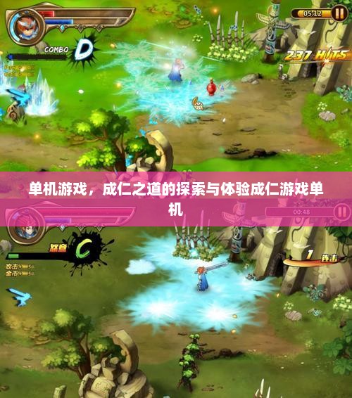 单机游戏，成仁之道的探索与体验成仁游戏单机