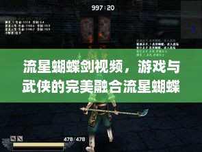 流星蝴蝶剑视频，游戏与武侠的完美融合流星蝴蝶剑视频高手