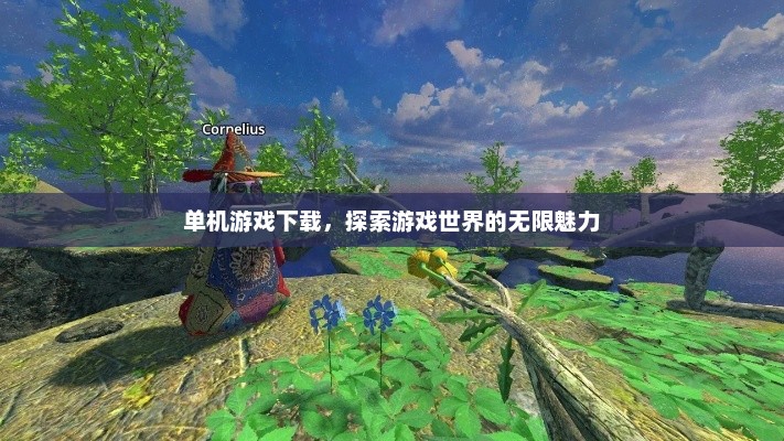 单机游戏下载，探索游戏世界的无限魅力