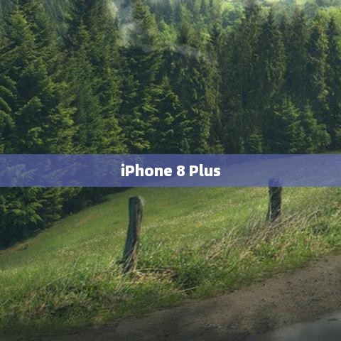 iPhone 8 Plus，技术与设计的极致融合