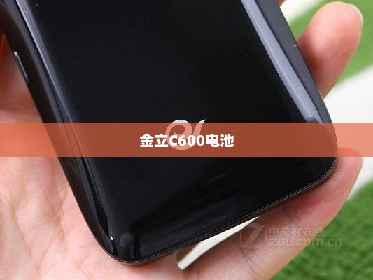 金立C600电池，性能特点与实用体验解析