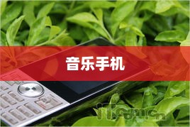 音乐手机，情感与科技的完美融合纽带