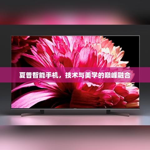 夏普智能手机，技术与美学的巅峰融合