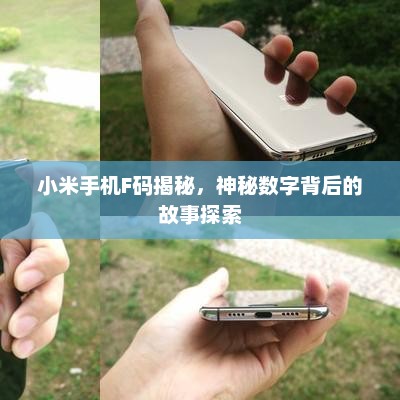 小米手机F码揭秘，神秘数字背后的故事探索