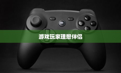 小米手柄，游戏玩家的理想伴侣之选