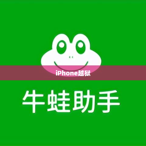 深入了解与理性探讨，iPhone越狱的实用性和影响