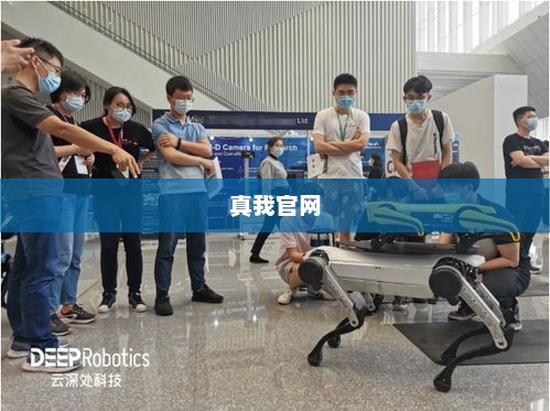 真我官网，前沿科技与优质体验的无尽探索之旅